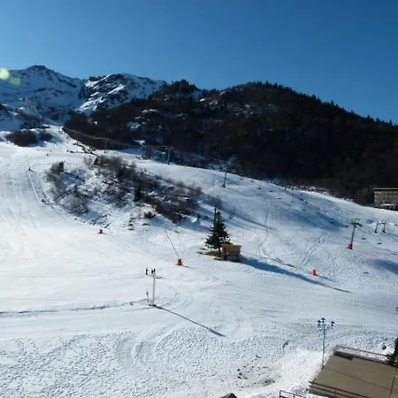 Epicea Front De Neige * Montferrier