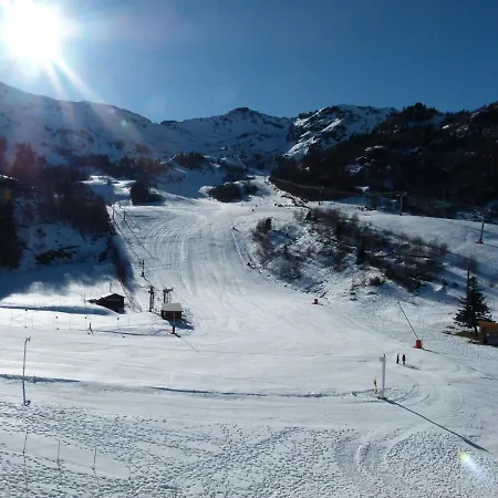 Epicea Front De Neige Daire *