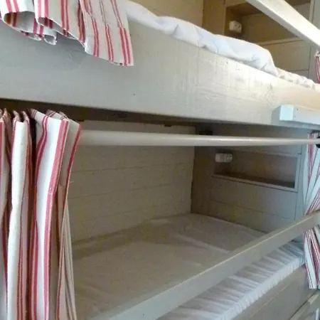 Epicea Front De Neige Daire *